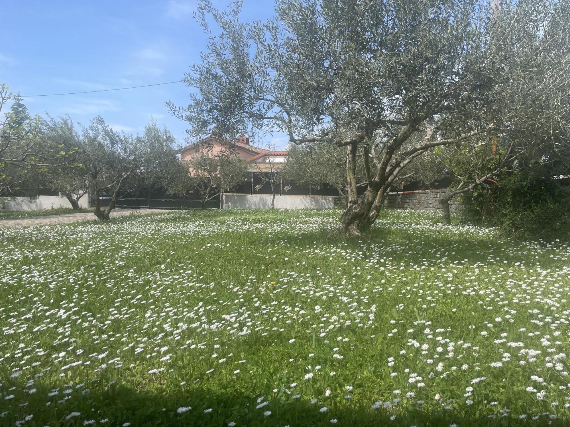 Paradise Villas With Swimming Pool Koper Room photo
